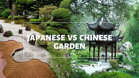 Differences Between Chinese And Japanese Gardens Be Amazed