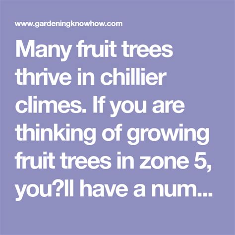 Fruit Trees For Zone 5 Selecting Fruit Trees That Grow In Zone 5