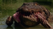 Best Crocodile Movies | 13 Top Alligator Movies Ever - Cinemaholic