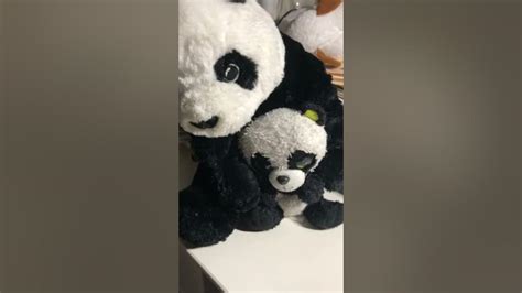 Pandas 3 Fan Of Da Panda Girl Youtube