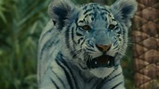 Der blaue Tiger Trailer DF - FILMSTARTS.de
