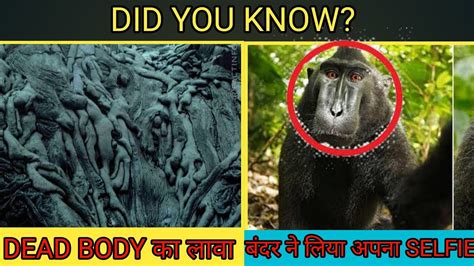 Youtube पे सबसे पहला वीडियो किसने और कब डाला था🤔 Most Amazing And Shocking Facts 😱😨😊 Youtube