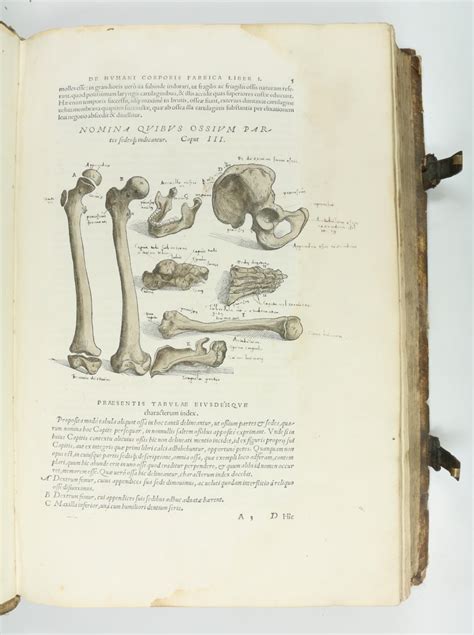 De Humani Corporis Fabrica Libri Septem Par Vesalius Andreas 1543