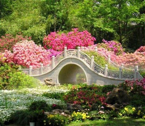 Romantic Bridge Flowers Places Pretty Places Beautiful Places