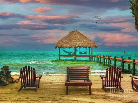 Lovely Palapa Beach Sunset Photograph By David Zanzinger Pixels