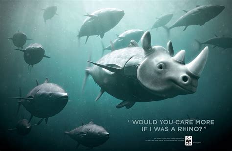 30 Shocking Animal Ad Campaigns That Will Make You Rethink Your