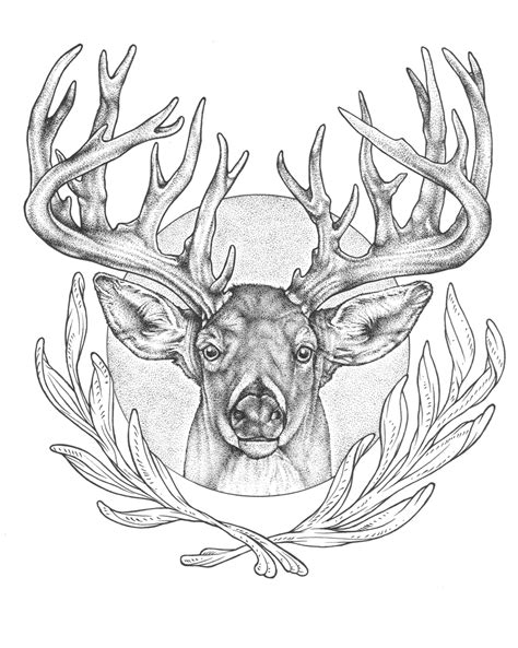 Elk Head Coloring Page Coloring Pages
