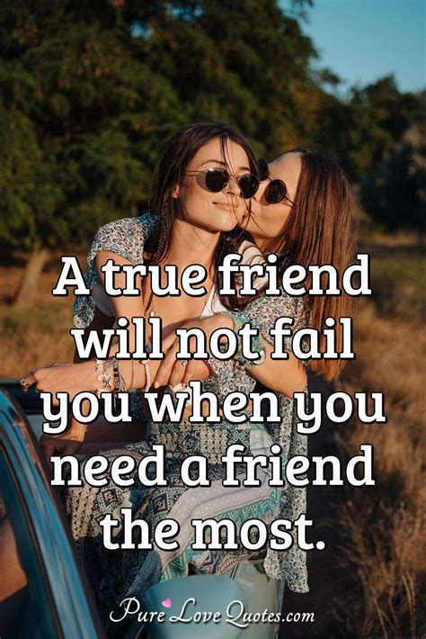 Friendship Is Not About Who You Have Daily Quotes