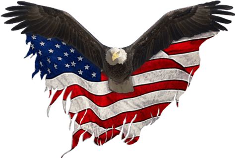 Eagle Png Flag Eagle United States Png Clipart Full Size Clipart