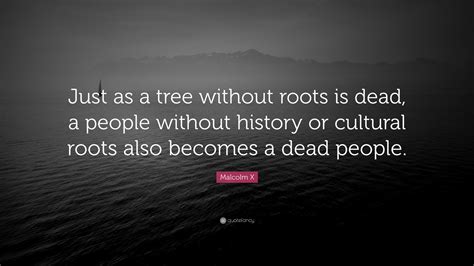 Malcolm X Quote: “Just as a tree without roots is dead, a people
