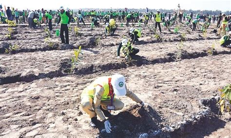 Sc Seeks Report On 10 Billion Tree Tsunami Initiative Pakistan Dawncom