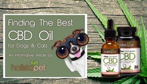 Some people claim that cbd can slow or stop the growth of cancer cells in the body. Finding The Best CBD Oil for Dogs & Cats | HolistaPet