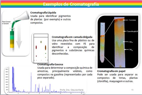 Cromatografia Conceitos Gerais Cromvallab Cursos De Especializa O E Profissionalizante