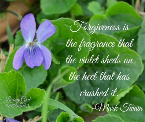Forgiveness Sweet Violets Forgiveness Inspirational Quotes