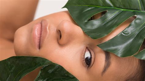 5 Best Natural Skin Care Ingredients In Beauty — Expert Advice Allure