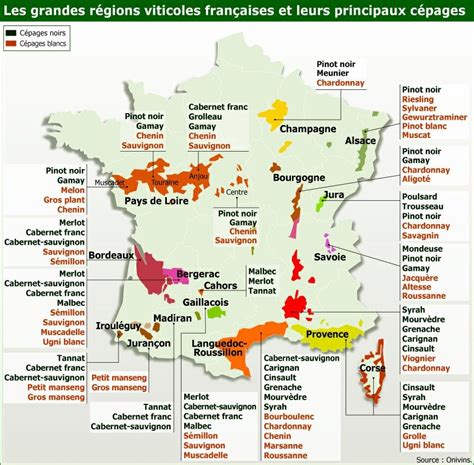 Cépages En France Vino De Francia Vinos Cata De Vinos