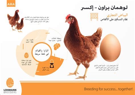 النشرات علمية نظام التسكين على الأقفاص Lohmann Breeders