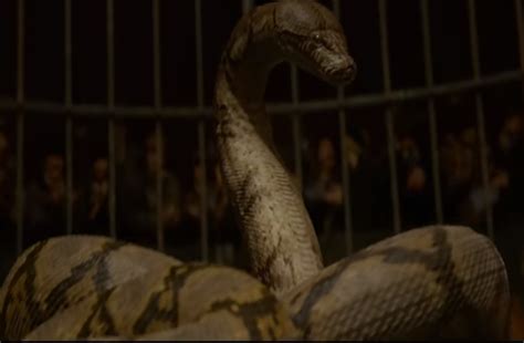 Nagini And Asian Actors In Hollywood The Courier Online
