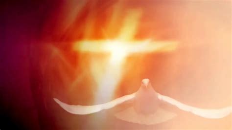 Holy Spirit In A Form Of Dove Easy Worship Background Video Loop