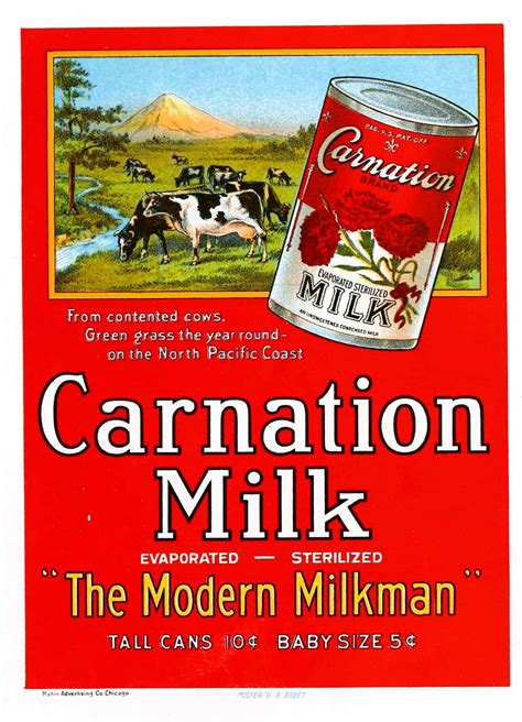 Carnation Milk Vintage Food Advertising Poster Art