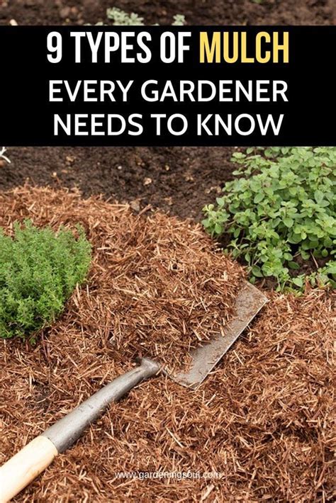12 Types Of Mulch That You Can Use In Your Garden Artofit