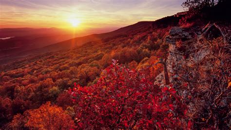 Heres When Arkansass Fall Colors Are Expected To Peak