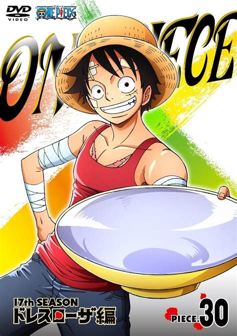 Image Dvd Season 17 Piece 30png One Piece Wiki Fandom Powered By