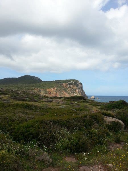 Sigillare bene il tappo e porre la bottiglia in un ambiente fresco e al buio. Liquore di Mirto fatto in casa: ricetta sarda