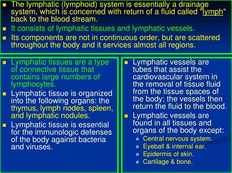 Ppt Lymphatic Tissues Are A Type Of Connective Tissue That Contains