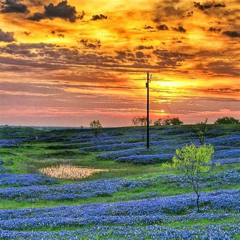 Spring Sunrise Texas Sunset Texas Hill Country Beautiful Sights