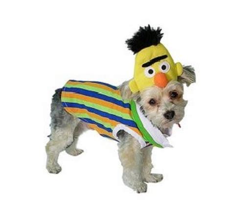 Ten Pictures Of Dogs Dressed As Muppets Just For The Laughs