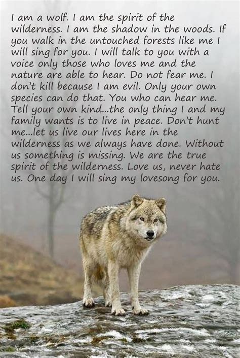 Home And Wild Wolf Quotes Wolf Spirit Animal Wolf Spirit