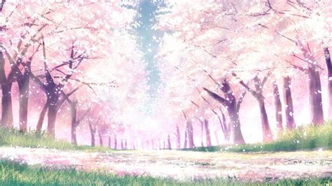 Aesthetic Cherry Blossom Background ~ Sky Clouds Landscape Cloud
