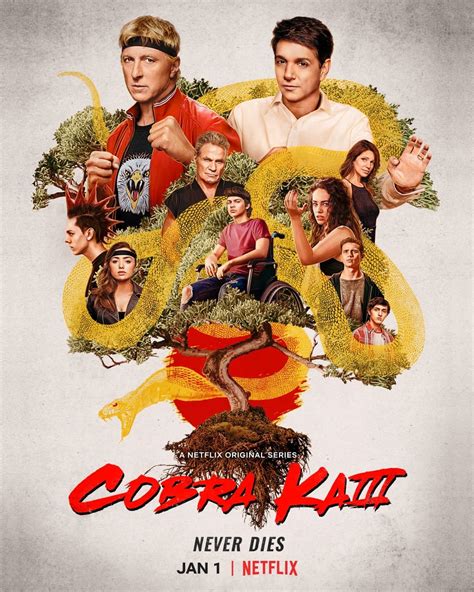 Netflix S Cobra Kai Season Three Review