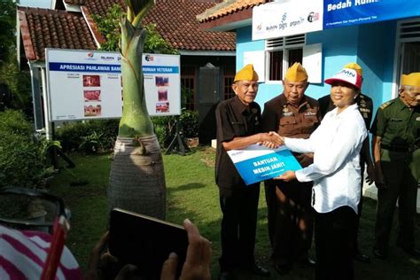 Harga mesin jahit singer sangat bervariasi pilih ukuran mesin jahit berdasarkan cara pemakaiannya. Menteri BUMN Tinjau Rumah Veteran yang Direnovasi