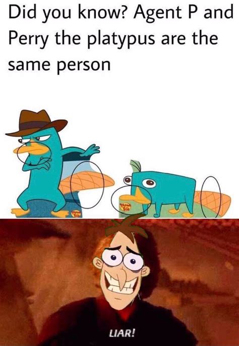 A Platypusperry The Platypus Rmemes