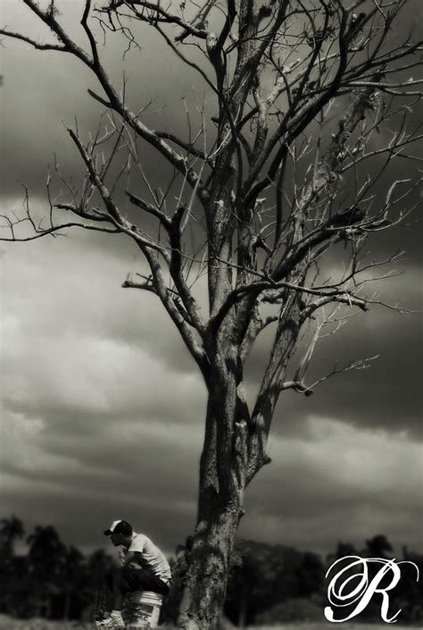 Bajo La Sombra De Un Arbol Sin Hojas Rebeca Lamboglia Flickr