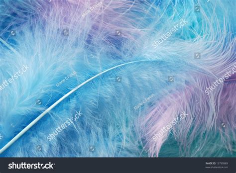 Soft Pastel Colored Feathers Ideal Background Stock Photo Edit Now