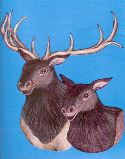Elk kit cow call & bull elk bugle call deer archery hunting. Stunning "Cow" Pencil Drawings And Illustrations For Sale ...