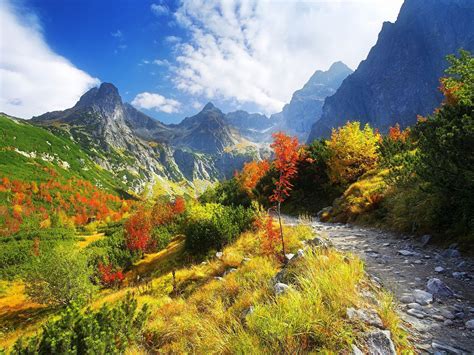 Best Nature Scenery Widescreen High Definition
