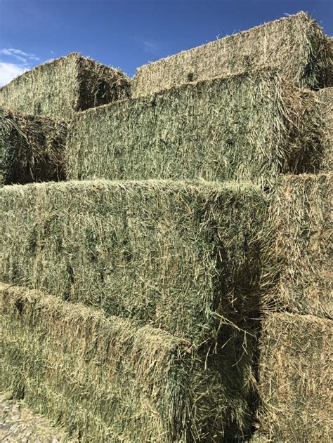 Hay For Sale Colorado
