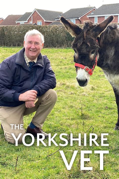 Watch The Yorkshire Vet S9e7 Episode 7 2019 Online Free Trial