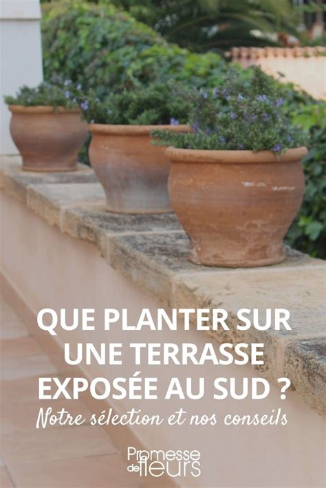 Que Peut On Planter Sur Une Terrasse Expos E Sud Jardiniere