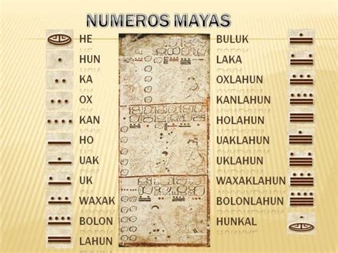 El Sistema De Numeracion De Los Mayas