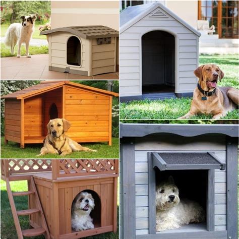 Razas de perros preparadas para vivir en un piso. Las 11 Mejores Casas para Perros de Amazon 2020 | PERROSPEDIA