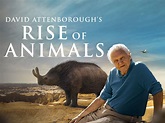 Prime Video: David Attenborough's Rise of the Animals: Triumph of the ...