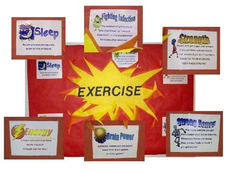 Pec Bulletin Boards For Physical Education Creative Curriculum