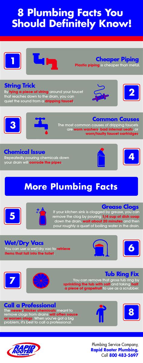 8 Plumbing Facts You Should Definitely Know Shared Info Graphics