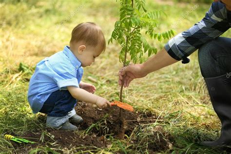Cute Baby Boy Planting Tree Stock Photo By ©belchonock 116897300