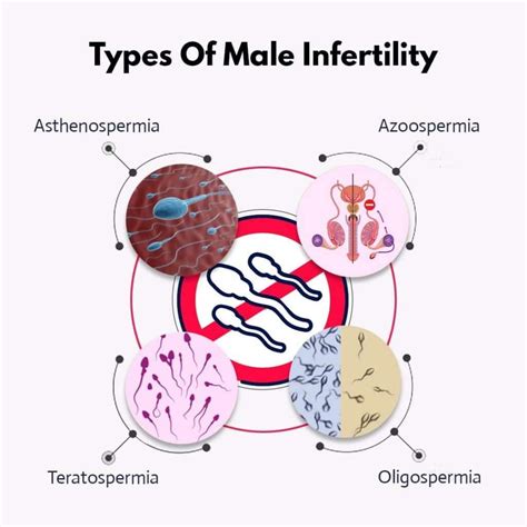 Exploring The Top Reasons For Male Infertility Babies And Us